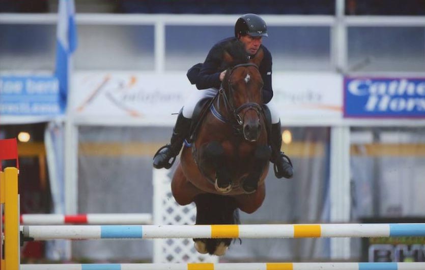 Whisper In The Wind - Showjumping Stallion